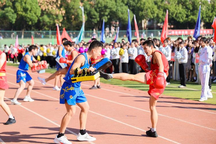 为什么会选