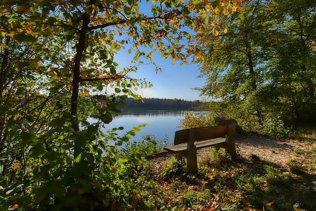 律活塞队展 律活塞队展