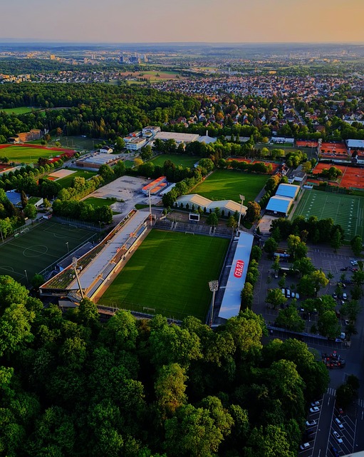 剧性和悬念 剧性和悬念